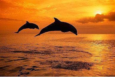 育碧计划在几年内将《刺客信条》员工增加40%